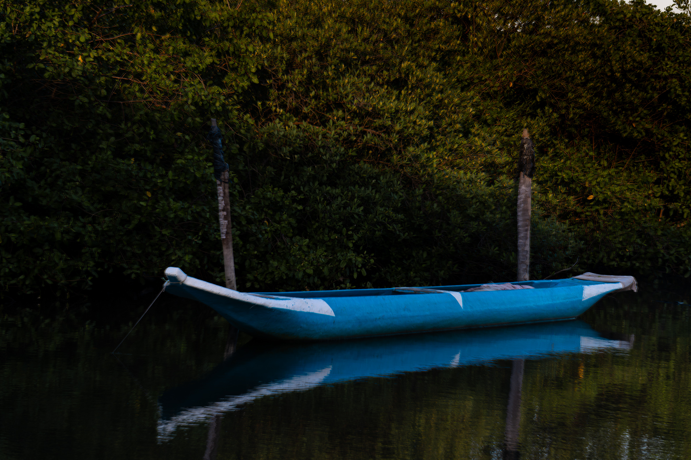 Reflexo