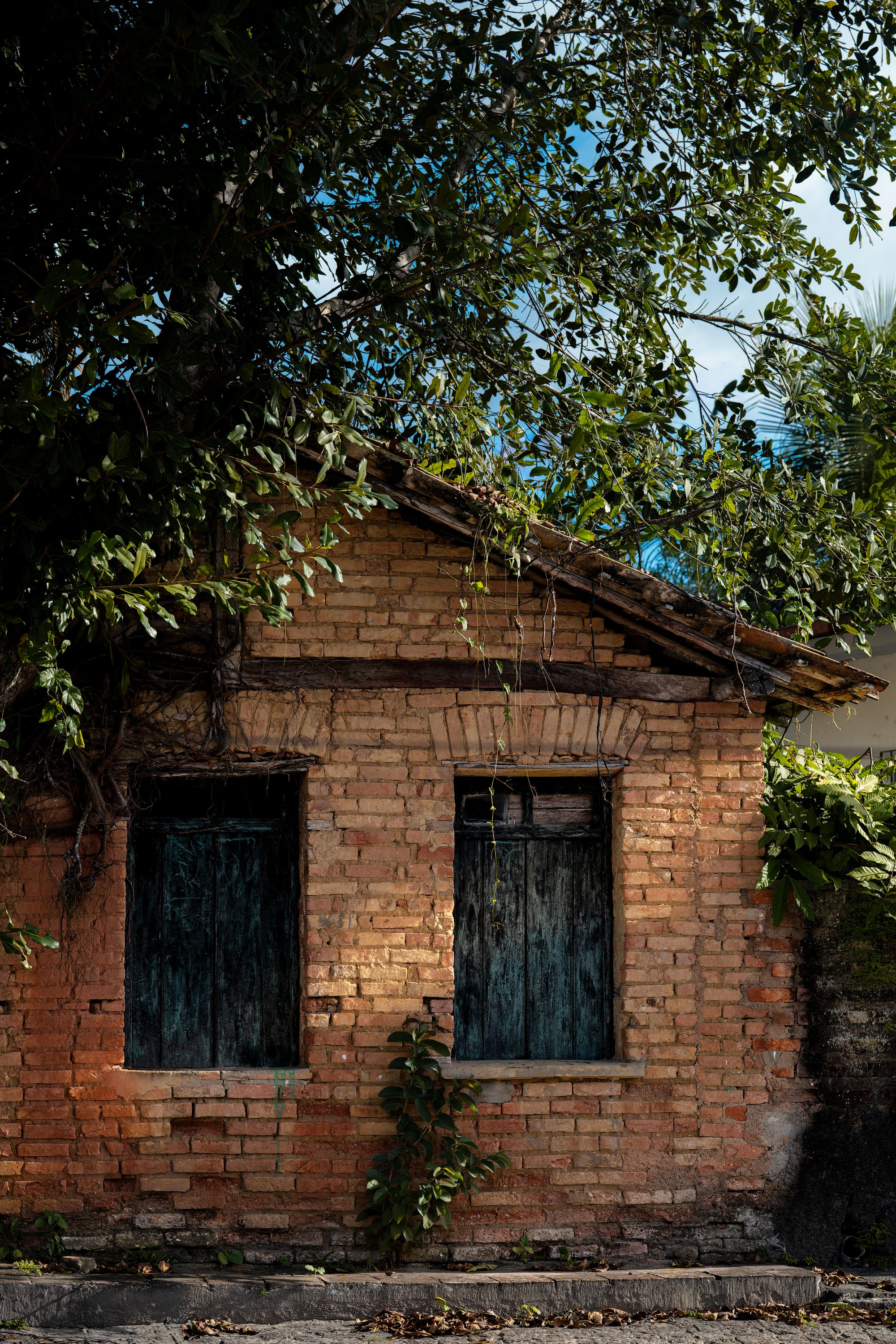 A minha casinha da Marambaia